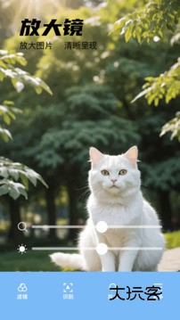 DeepSeek手机版v1.0.1