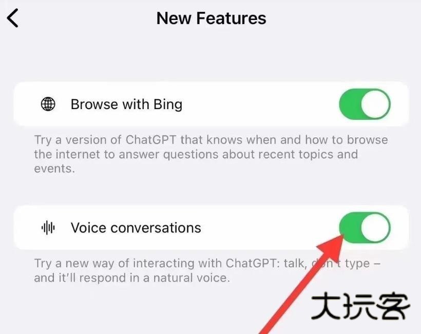 ChatGpT中文手机版