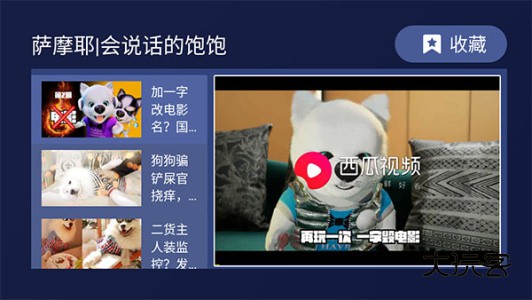 欢视助手tv版app最新版v5.0.3