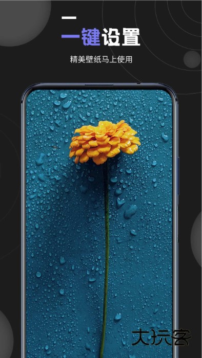 我的壁纸最新版v1.2