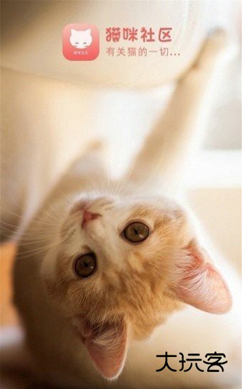 猫咪社区正版v5.9.9