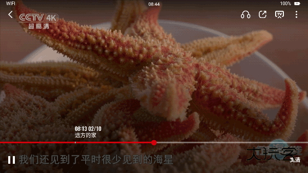 央视频TV版最新版v6.8.0