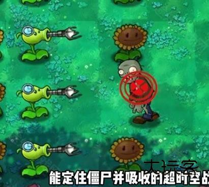 植物大战僵尸融合植物版本