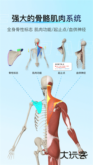 解剖大师官网免费版v5.1.0