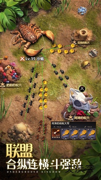 小小蚁国37版(蚂蚁王国)手游v3.0.60