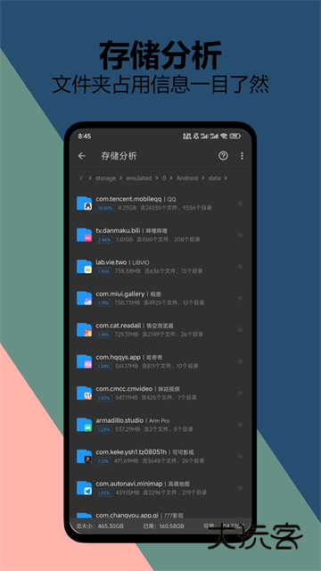 雪豹速清正版V2.9.5