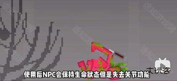 甜瓜游乐场国际服25.666版本