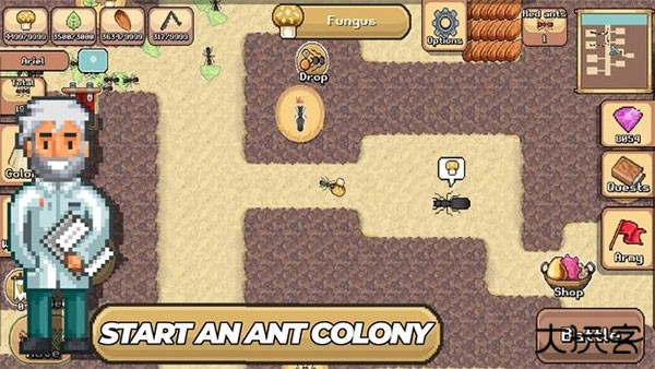 口袋蚂蚁模拟器