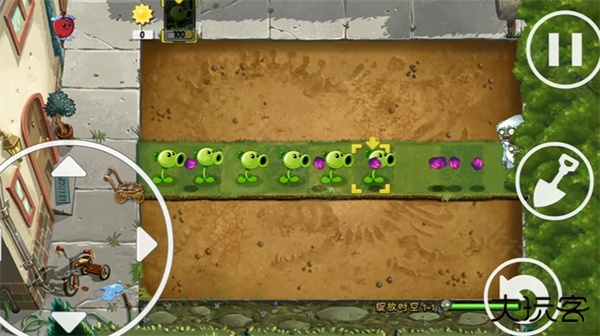 植物大战僵尸绽放时空