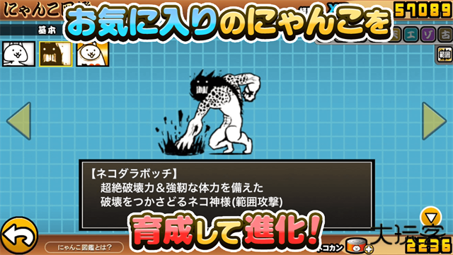 猫咪大战争日服