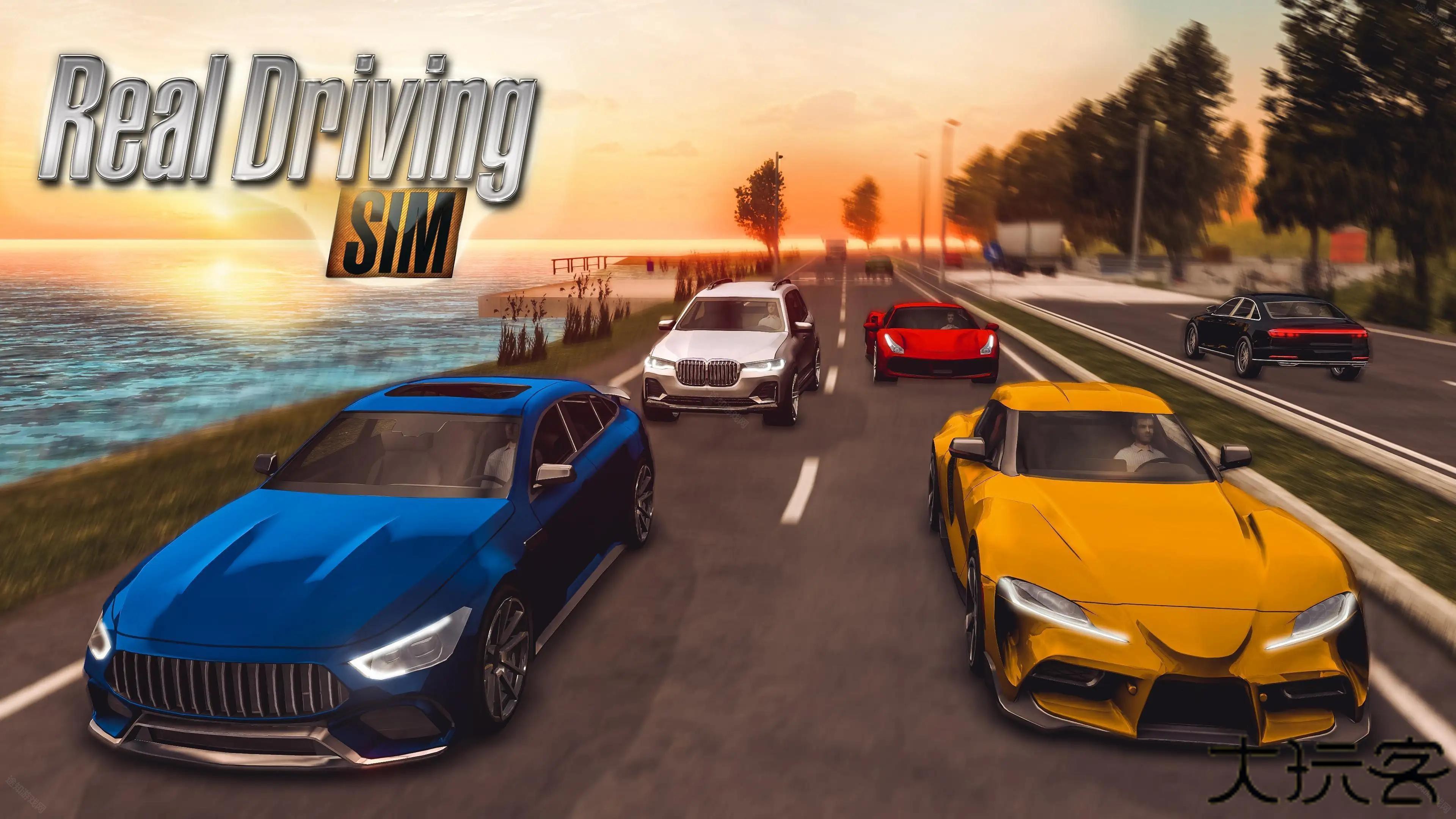真实驾驶模拟器汉化版