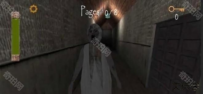 兰德里纳河的医院