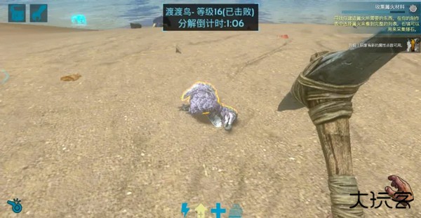 方舟生存进化国际服