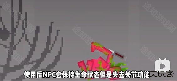 甜瓜游乐场国际服25.666版本