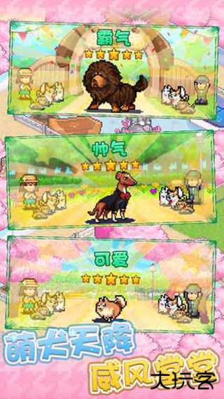 发现狗狗乐园下载 v3.00