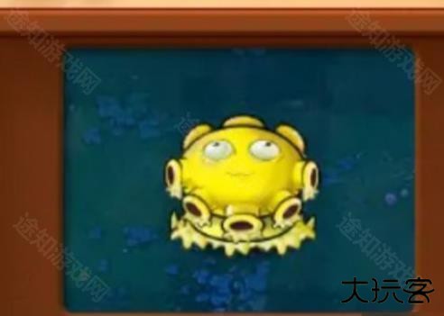 植物大战僵尸杂交植物