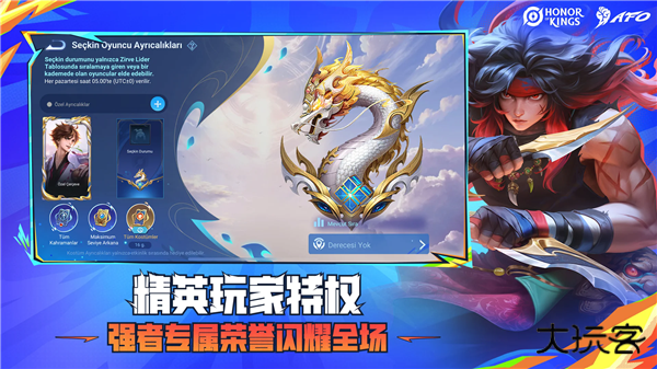 王者国际服下载 v10.5.1.8