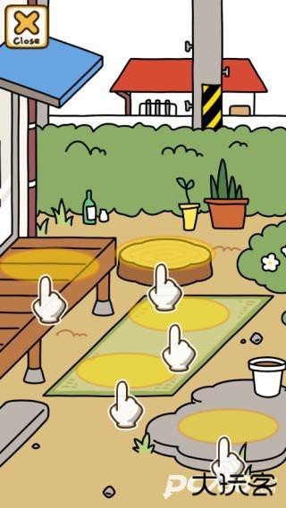 猫咪后院2国际服