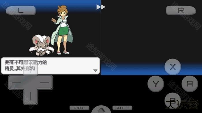 口袋妖怪黑2金手指