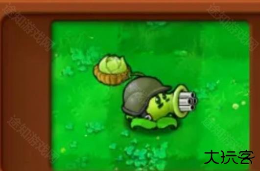 植物大战僵尸杂交植物