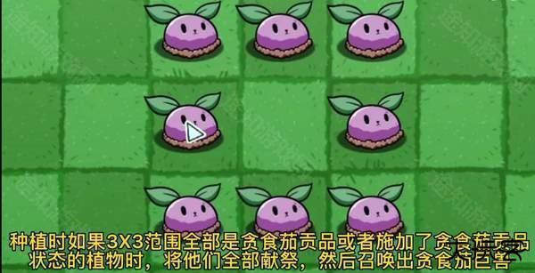 pvzbt官方正版下载最新版