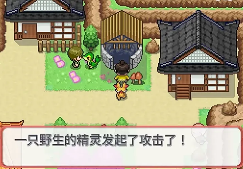 宝可梦武士道下载 v1.0