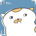 主播与猫的故事下载 v2.5