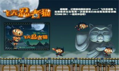 飞天忍者猫无敌版下载 v1.9