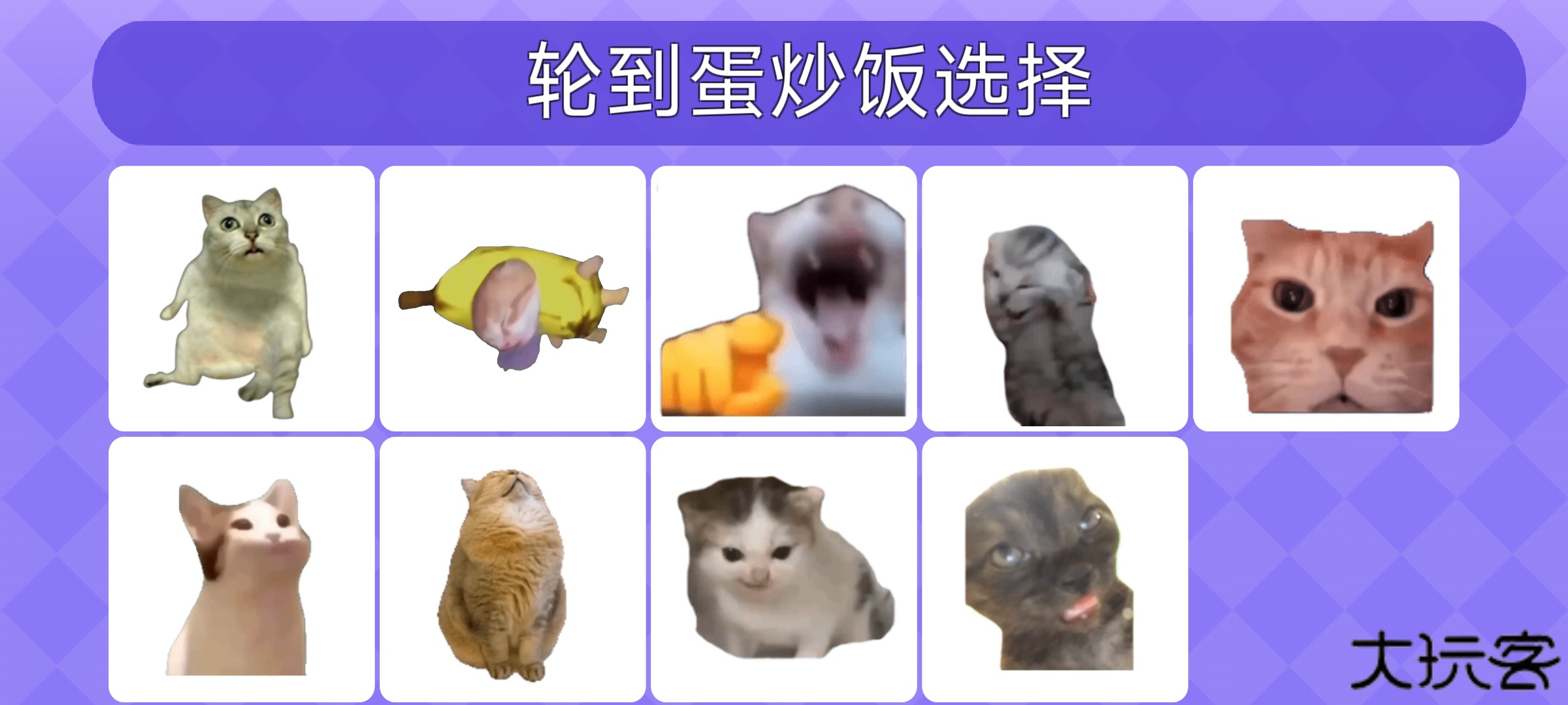 女巫的毒药猫meme版下载 v0.0.1