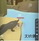 从细胞到奇点官方正版