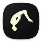 疯狂后空翻2下载 v1.0.1