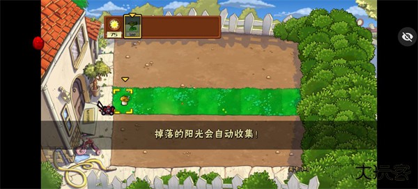 植物大战僵尸随机植物