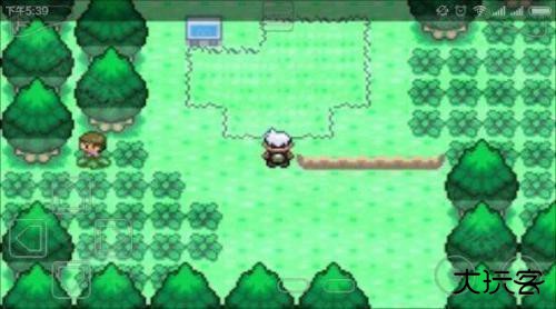 口袋妖怪神兽领域图片3