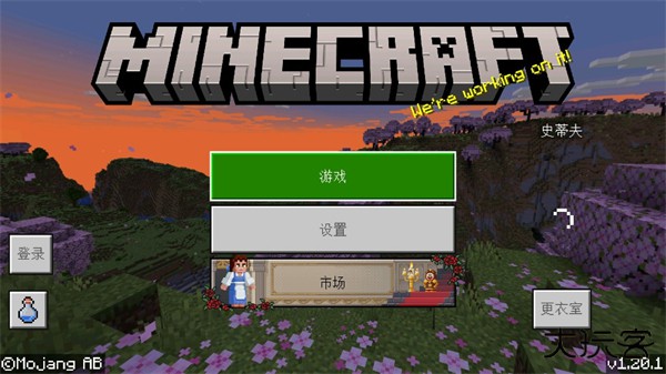 我的世界5D皮肤