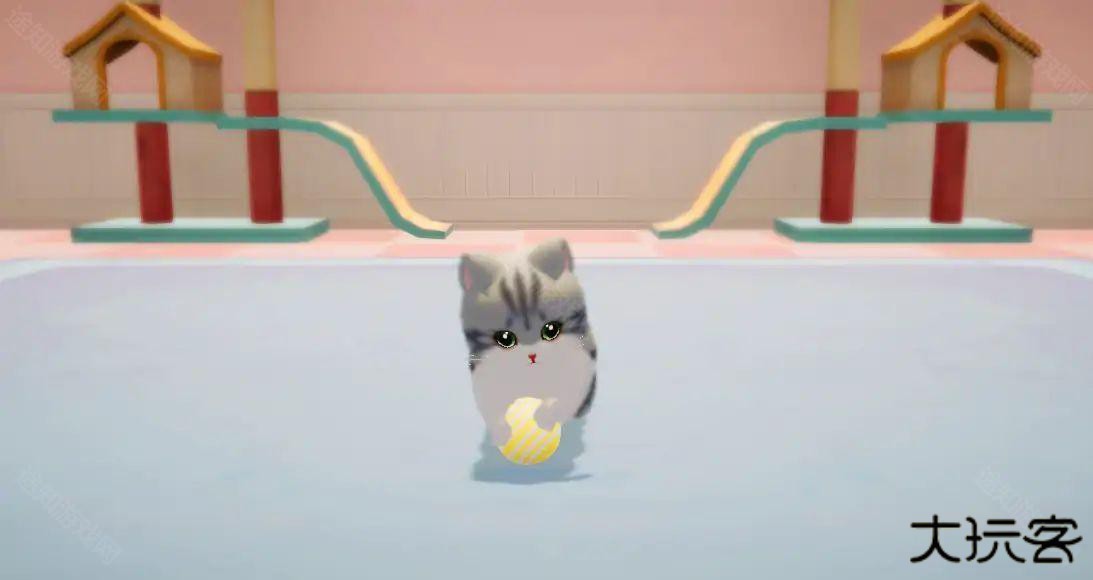 养了个猫联机版