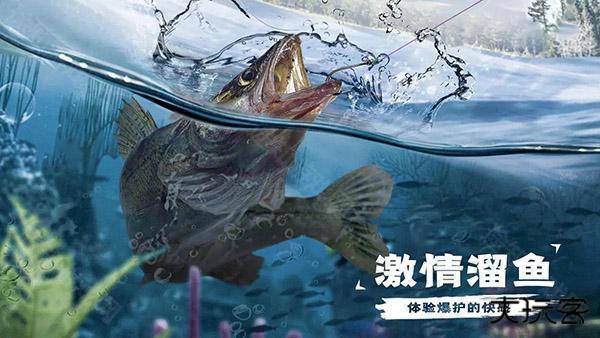 天天钓鱼达人版