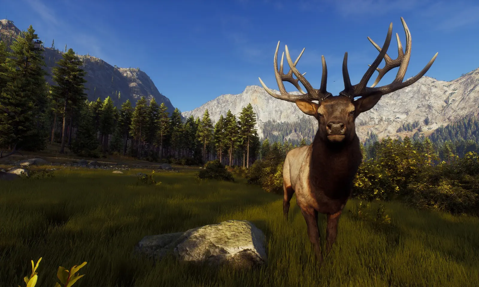 猎人之路狩猎之道下载 v1.0.1