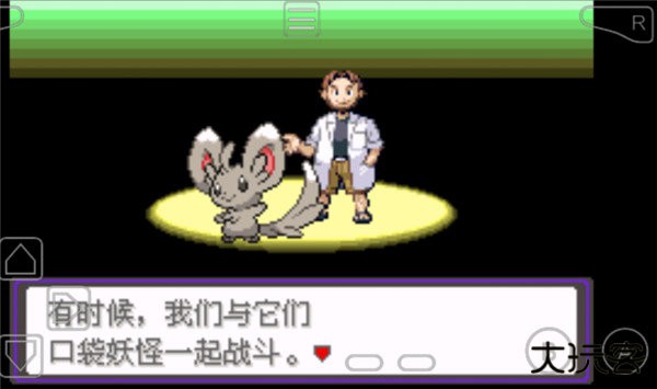 宝可梦漆黑的魅影5.0下载 v5.0