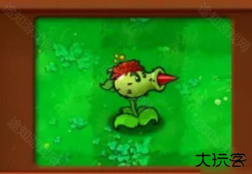 植物大战僵尸杂交植物