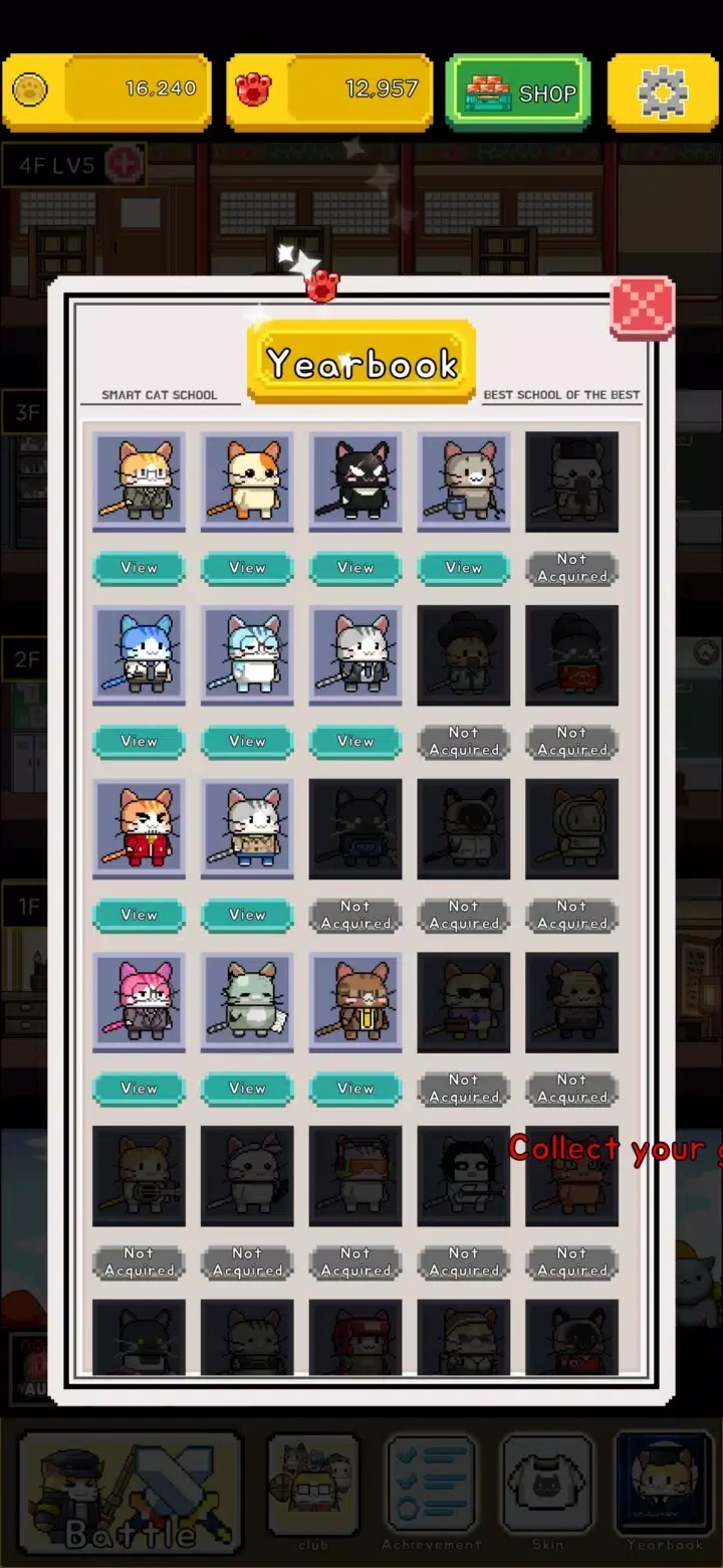 猫猫学园下载 v1.2.5