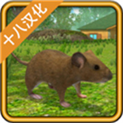 老鼠模拟器下载 v1.43
