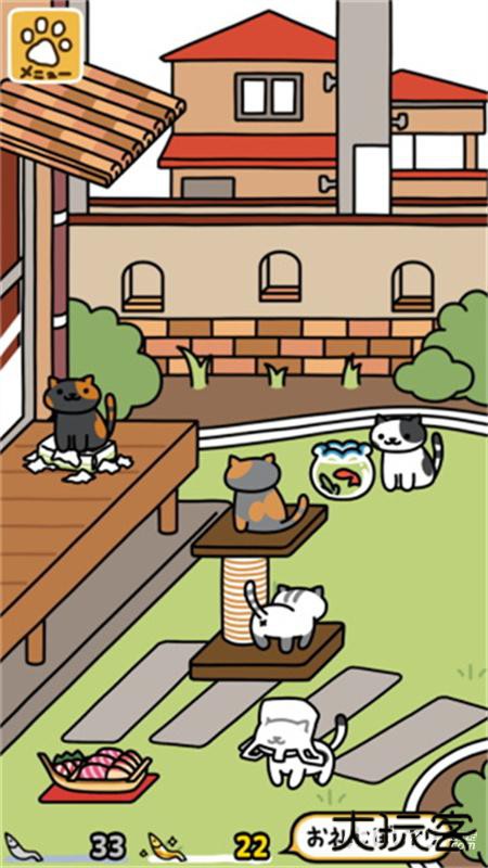 猫咪后院2国际服