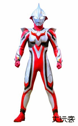 形态有哪些截图4