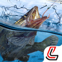 天天钓鱼达人版下载 v1.9