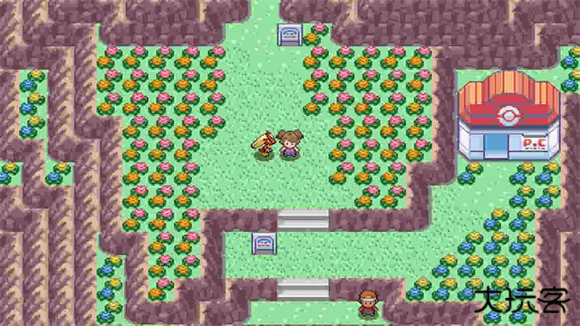 pokemmo下载 vr29764