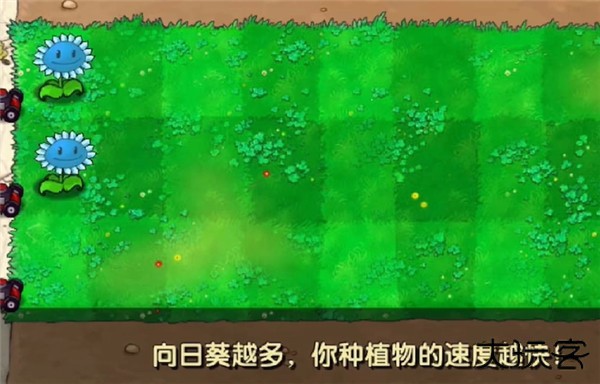 植物大战僵尸寒冰直装版