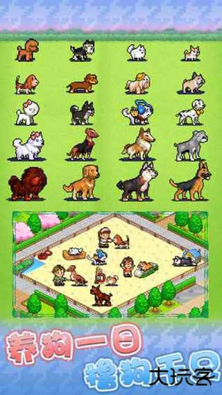 发现狗狗乐园下载 v3.00