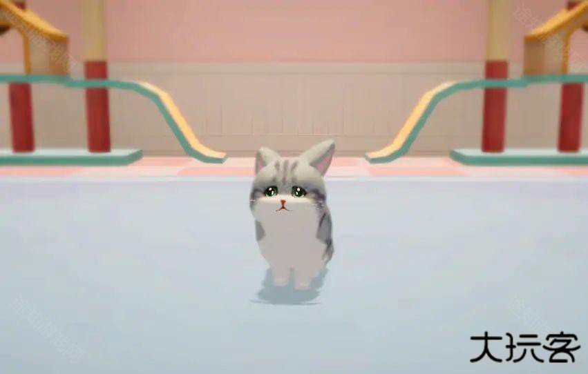 养了个猫2025最新版