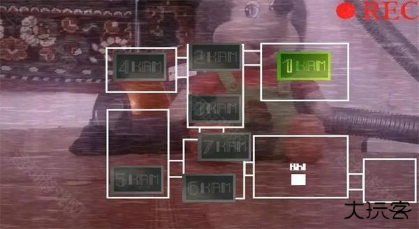 刺猬的五夜后宫