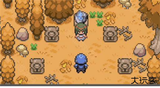 口袋妖怪登峰造极金手指